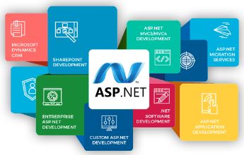 Hire Asp.net Developers