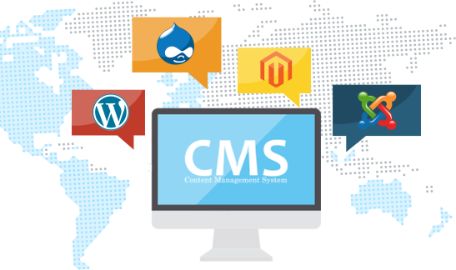 Cms Development Services