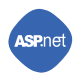 asp.net  development services